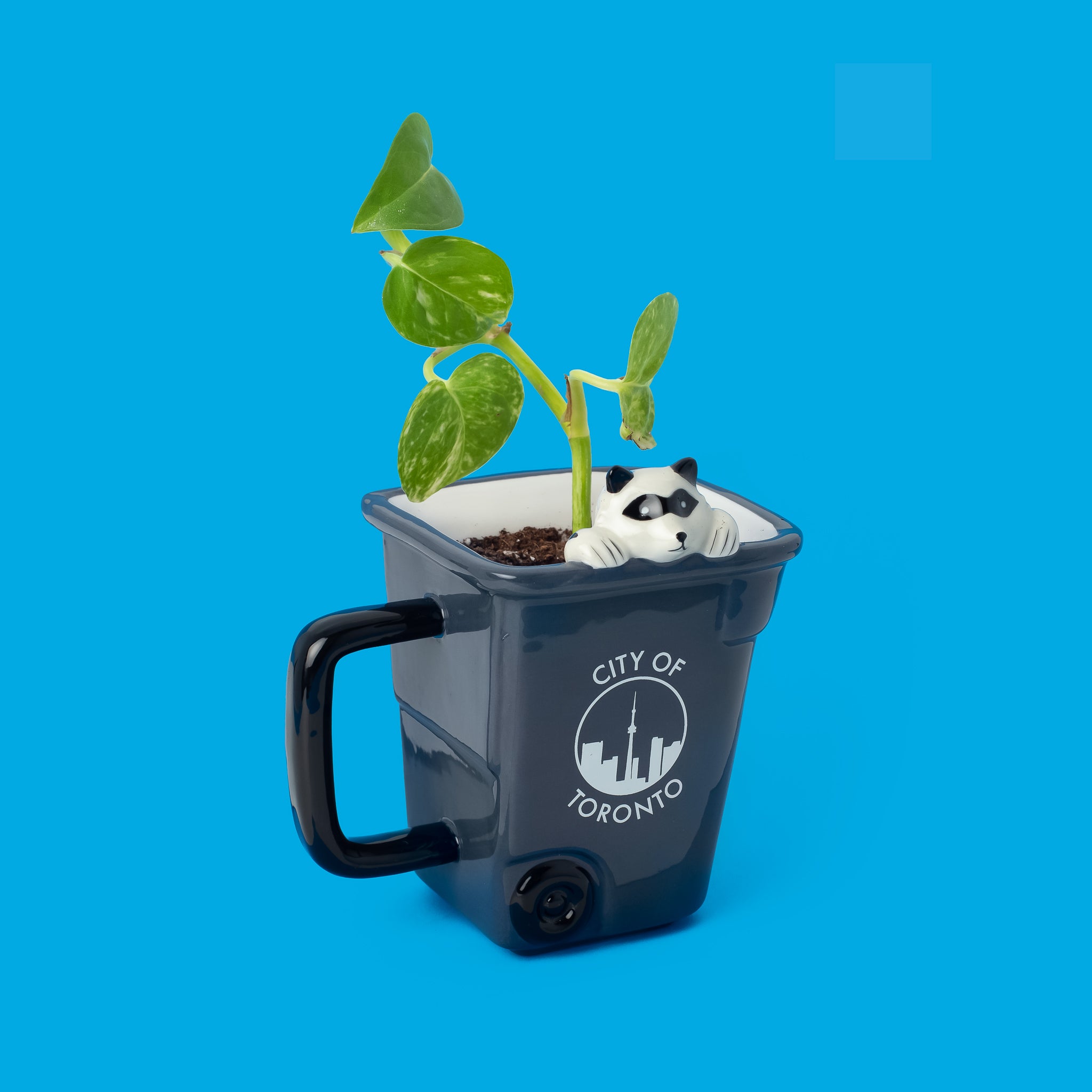 Toronto Raccoon Mug - Main and Local