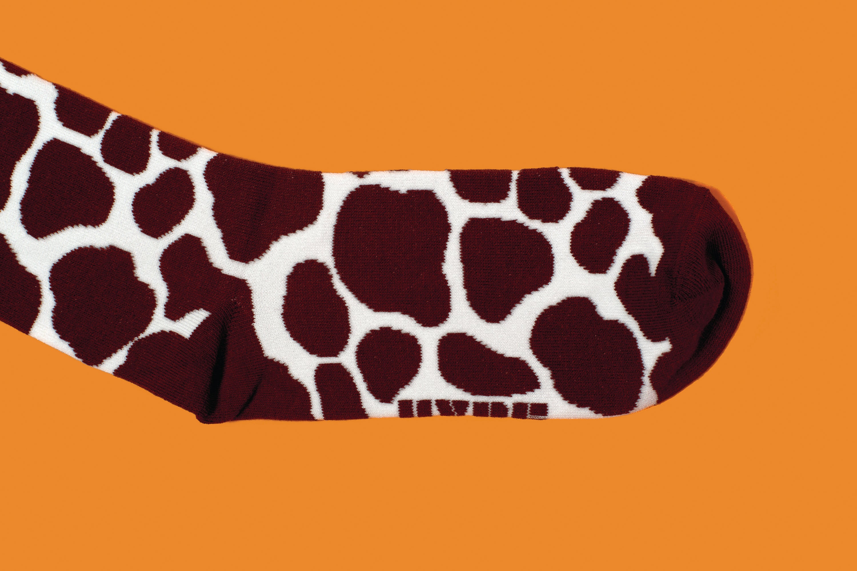 Creamy Chocolate Milk Socks - Main and Local